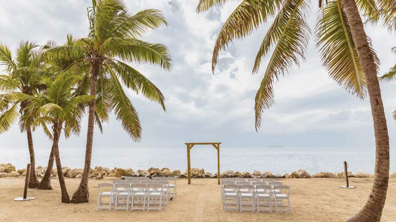 Beach memorial setup under palm trees
